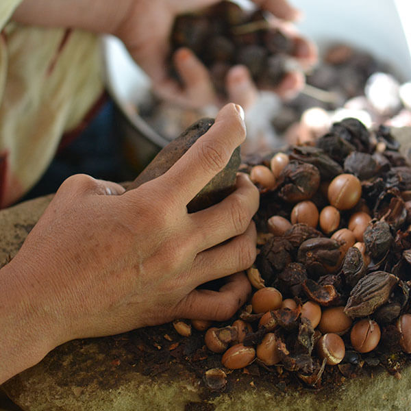 Argan shells – Image 2
