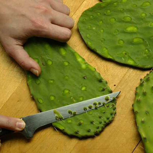 Nopal powder – Image 3