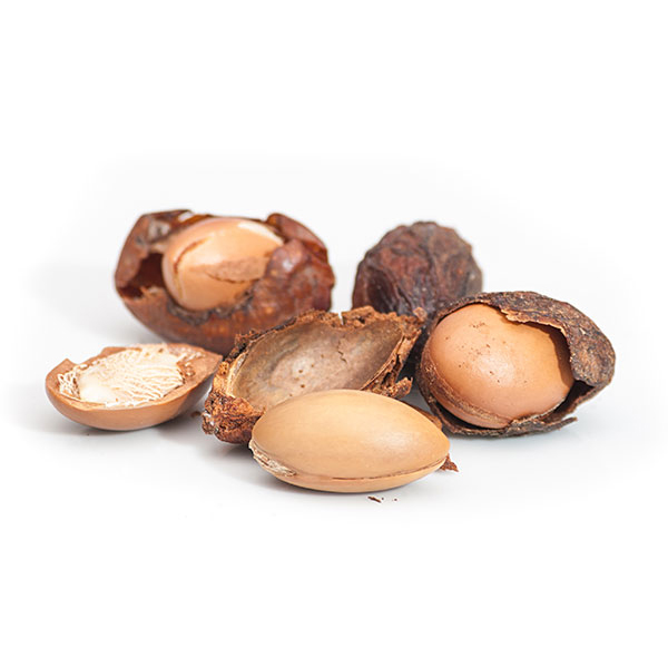 Argan shells