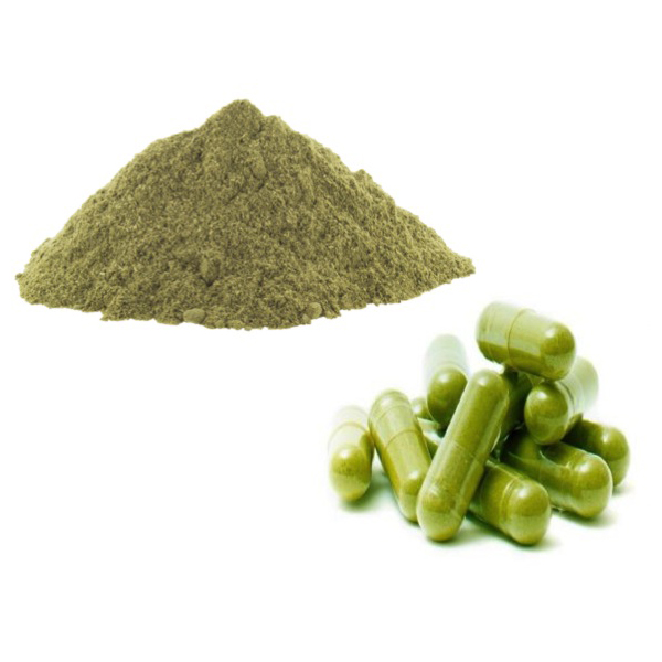 Nopal powder – Image 2